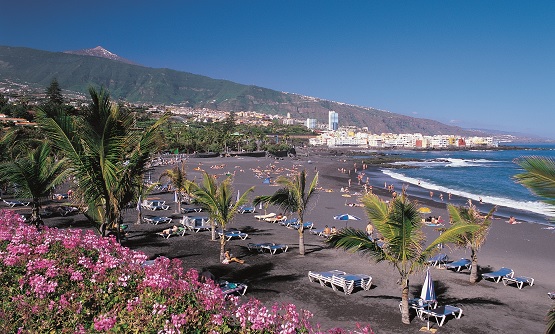 Vista de playa Playa Jardín situada en Puerto de las Cruz con palmeras y hamacas al fondo